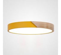 Потолочный светильник IMPERIUMLOFT CLIP Yellow D40 193045-26