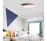 Потолочный светильник IMPERIUMLOFT KIER D50 Pink 181029-26 3