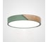 Потолочный светильник IMPERIUMLOFT CLIP Green D30 193040-26 1