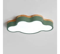 Потолочный светильник IMPERIUMLOFT CLOUD ECO D50 Green 186698-26