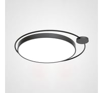 Потолочный светильник IMPERIUMLOFT DESTIN D50 Black 193727-26