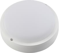 Светодиодный светильник ЭРА SPB21040K12 ЖКХ IP65 12Вт 960лм 4000К круг Б0043084