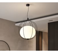 Подвесной светильник IMPERIUMLOFT PHEZALIS D55 Black 219833-26
