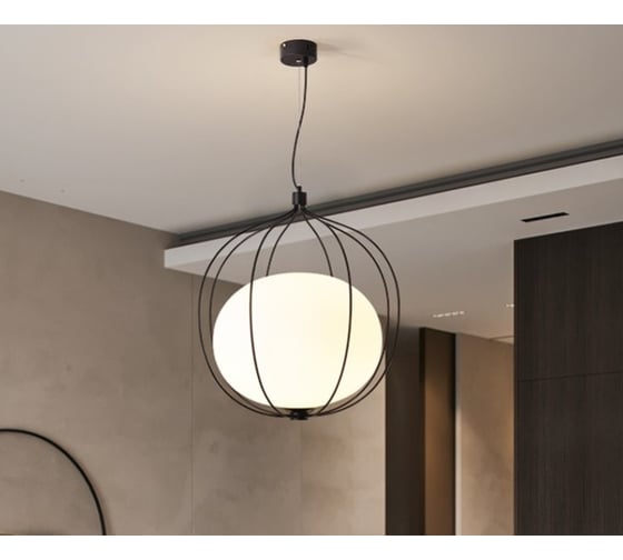 Подвесной светильник IMPERIUMLOFT PHEZALIS D55 Black 219833-26