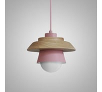 Подвесной светильник IMPERIUMLOFT ECO Розовый 178164-26