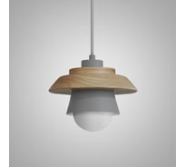 Подвесной светильник IMPERIUMLOFT ECO Серый 178162-26