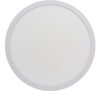 Накладной светильник Smartbuy LED Round SDL 24w/4000K/IP20 SBL-RSDL-24-4K