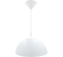 Светильник подвес LightStandart Rondo 25 01 01 Д250мм белый, шнур белый, Е27 (НСБ 21-60-202 УХЛ4, серия Candy молочно-белый) IT4087