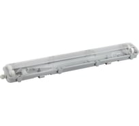 Светильник ЭРА SPP-101-0-002-120 IP65 под две светодиодные лампы T8 G13 LED 2х1200 Б0043658