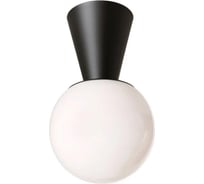 Светильник IMPERIUMLOFT Cedar & Moss Sierra Black 143971-22