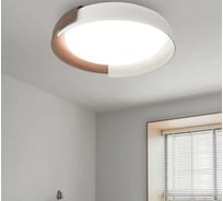 Потолочный светильник IMPERIUMLOFT ADDA White/Wood 223830-23