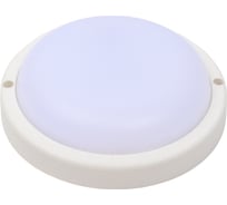 Светильник Ultraflash Lbf-0312 c01 led влагозащищённый, 12 вт, ip65, 220в, 4000к, круг 15338