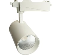 Светодиодный светильник FERON al103 трековый однофазный на шинопровод 30w 4000k, 35 градусов, белый с индексом цветопередачи 90ra серия truecolor , 48941