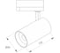 Светильник Arlight LGD-SPOT-2TR-R45-7W Day4000 1шт 042538 2