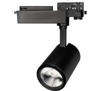 Светодиодный светильник Arlight LGD-1530BK-30W-4TR White 24deg 1шт 022048