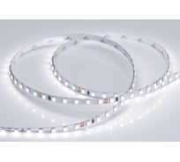 Светодиодная лента Arlight RT 2-5000 24V White6000 5mm 2x5м 015651