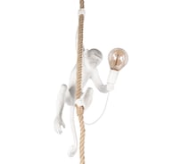 Подвесной светильник LOFT IT Monkey 10314P