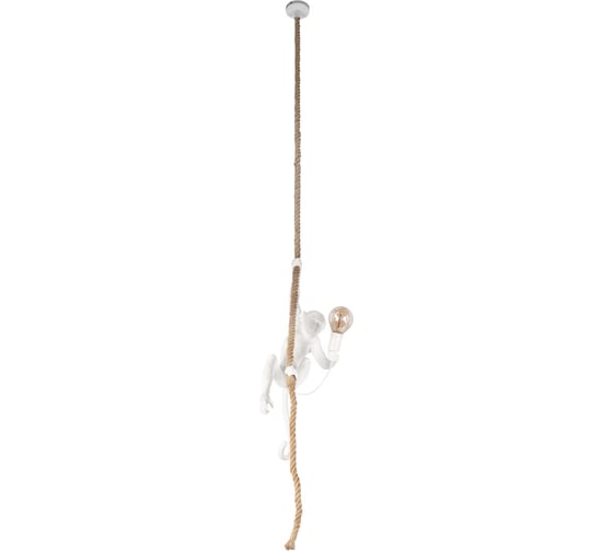 Подвесной светильник LOFT IT Monkey 10314P