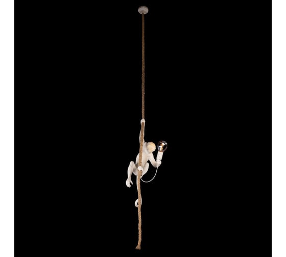 Подвесной светильник LOFT IT Monkey 10314P