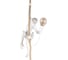 Подвесной светильник LOFT IT Monkey 10314P 1