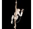 Подвесной светильник LOFT IT Monkey 10314P 2