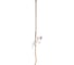 Подвесной светильник LOFT IT Monkey 10314P 3