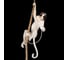 Подвесной светильник LOFT IT Monkey 10314P 6