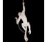 Подвесной светильник LOFT IT Monkey 10314P 8