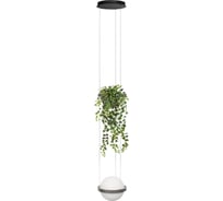Подвесной светильник LOFT IT Jardin 10121/1P Dark grey
