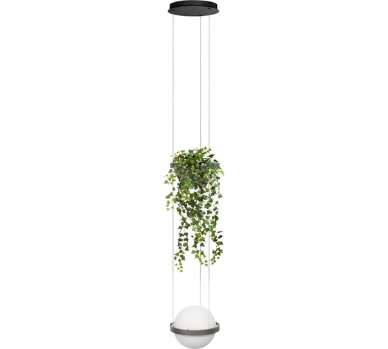 Подвесной светильник LOFT IT Jardin 10121/1P Dark grey 1