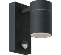 Настенный уличный светильник Lucide ARNE-LED 14866/05/30