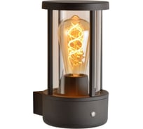 Настенный уличный светильник Lucide LORI 14893/01/30