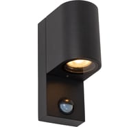 Настенный уличный светильник Lucide ZARO IR 69803/01/30