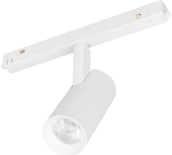 Светильник Arlight MAG-ORIENT-SPOT-R45-12W Day4000 1шт 035873