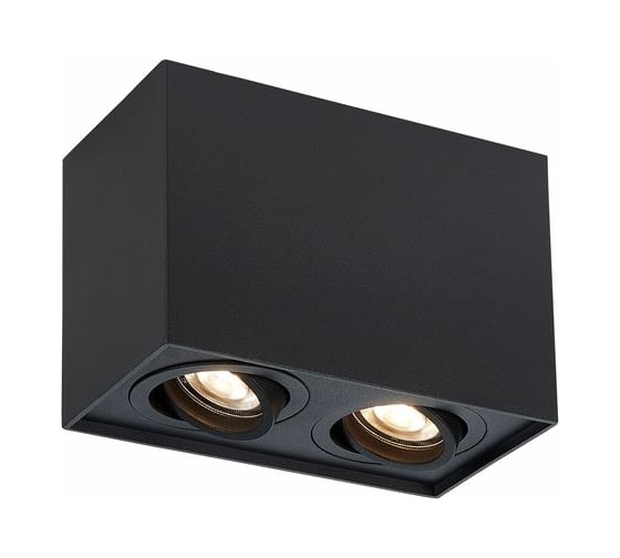 Потолочный светильник ALMA LIGHT черный, матовый gu10 2x50w l181xw100xh123, без лампы, ALC00110BK-MK1-GU10.2x50W