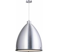 Подвесной светильник Lucide LOFT 31416/50/12