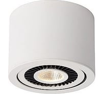 Спот Lucide OPAX 33956/05/31