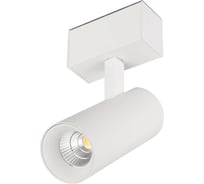 Светильник Arlight MAG-SPOT-45-R85-12W Day4000 1шт 046590