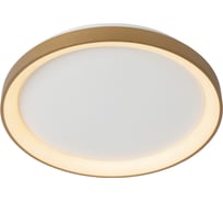 Потолочный светильник Lucide VIDAL 46103/38/02