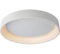 Потолочный светильник Lucide TALOWE LED 46100/80/31