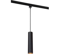 Потолочный светильник Lucide TRACK FLORIS pendel 09955/01/30