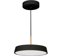 Светильник Arlight SP-ELEGANT-R300-17W Day4000 1шт 033920(1)