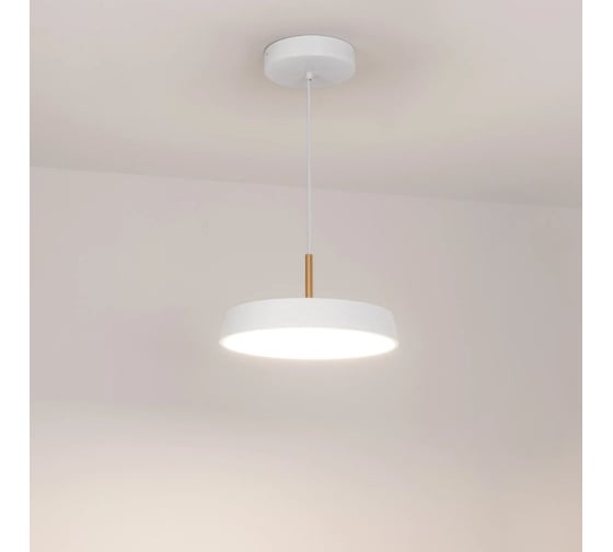 Светильник Arlight SP-ELEGANT-R300-17W Day4000 1шт 033919(1)
