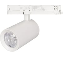 Светильник Arlight LGD-NIKA-4TR-R100-40W Day4000 1шт 031175
