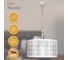 Светильник подвесной ЭЛЕТЕХ Амина 231 бел.муар НСБ 01-3x60-173 Е27 ИМ 1005405255 8