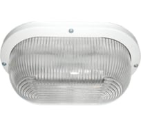 Светильник Ecola Light gx53 led дпп 03-9-002 овал накладной ip65 2 x gx53 прозрачный стекло белый 280x175x105 TL53T2ECR