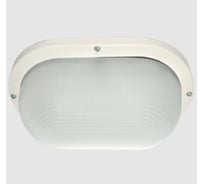 Светильник Ecola Light gx53 led дпп 03-9-102 овал накладной ip65 2 x gx53 матовое стекло белый 280x175x105 TL53L2ECR