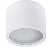 Точечный накладной светильник ARTE LAMP intercrus A5543PL-1WH