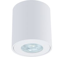 Точечный накладной светильник ARTE LAMP tino A1469PL-1WH