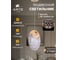Подвесной светильник ARTE LAMP vitoria A2095SP-1GO 2